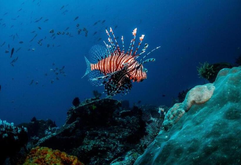 Kempinski Hotel & Resort Sariya, Yanbu Red Sea