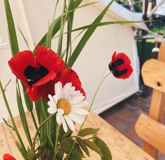 Pensão Hovek Guest House