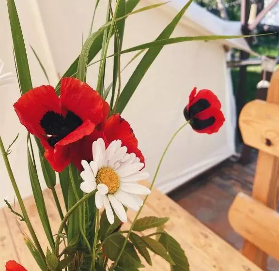 Majatalo Hovek Guest House