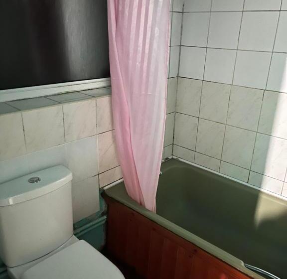 Пансион Leicester Uk 3 Tudor