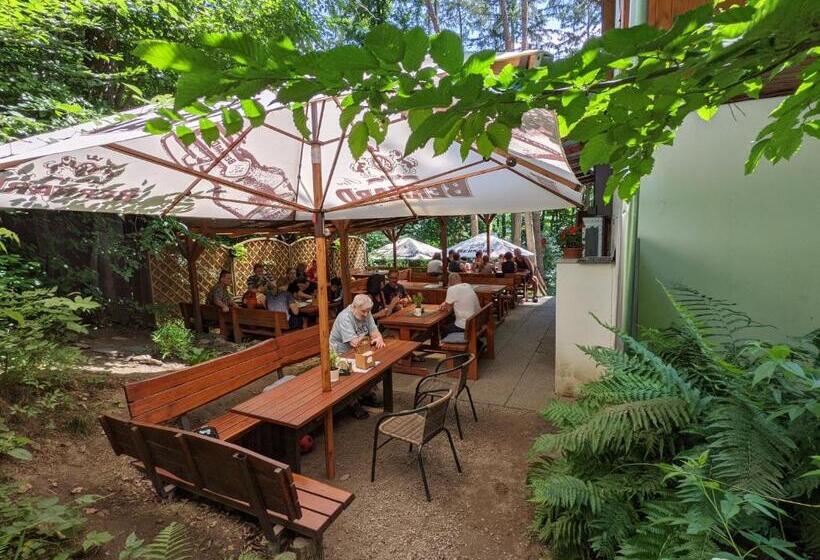 פנסיון Penzion Jezero