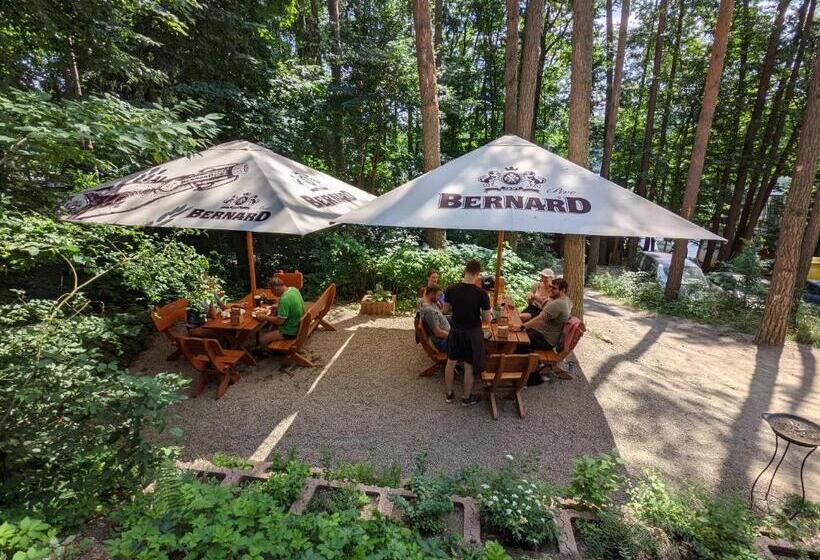 פנסיון Penzion Jezero