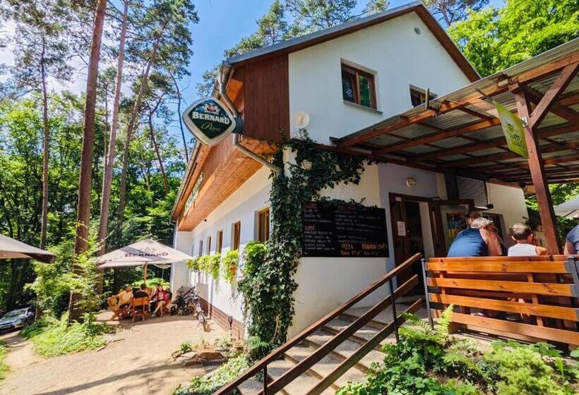 פנסיון Penzion Jezero