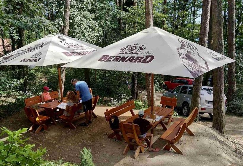 פנסיון Penzion Jezero