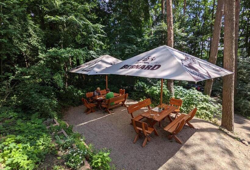 פנסיון Penzion Jezero