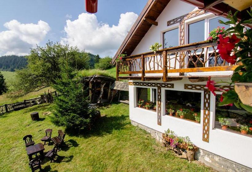 膳宿费 Plai Cu Dor Fundata