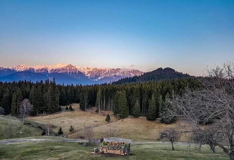 膳宿费 Plai Cu Dor Fundata