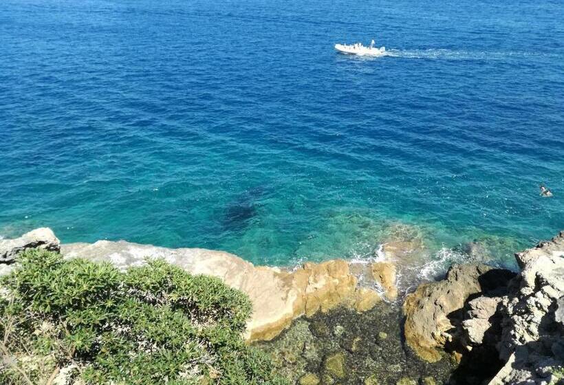 פנסיון Villa Nerina