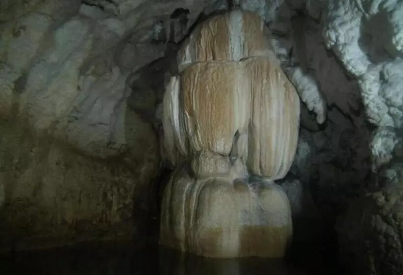 Pensiunea Viorica