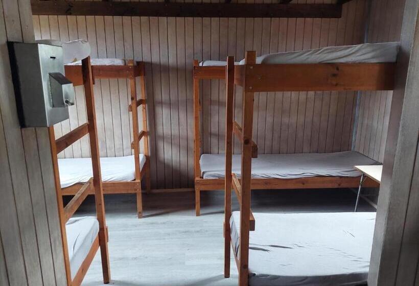 هاستل Fremstaver