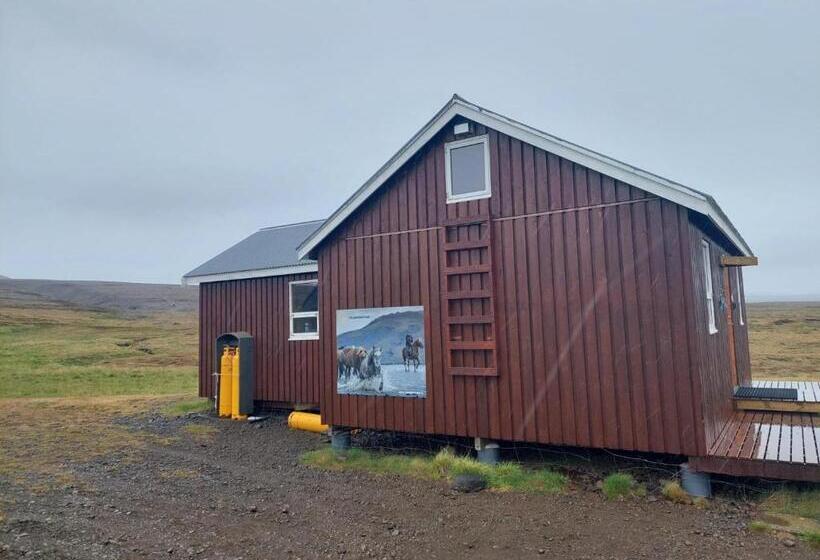 هاستل Fremstaver