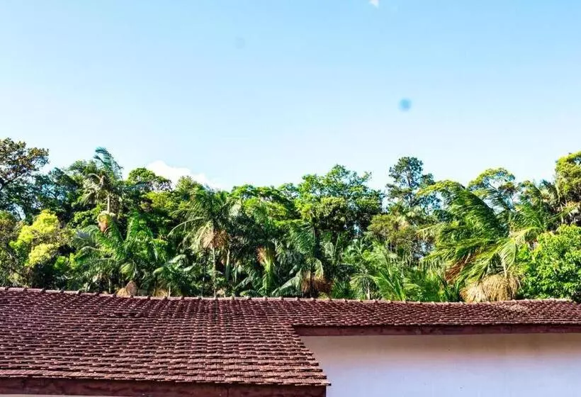 Hotelli Br 101 Confort Suítes Joinville