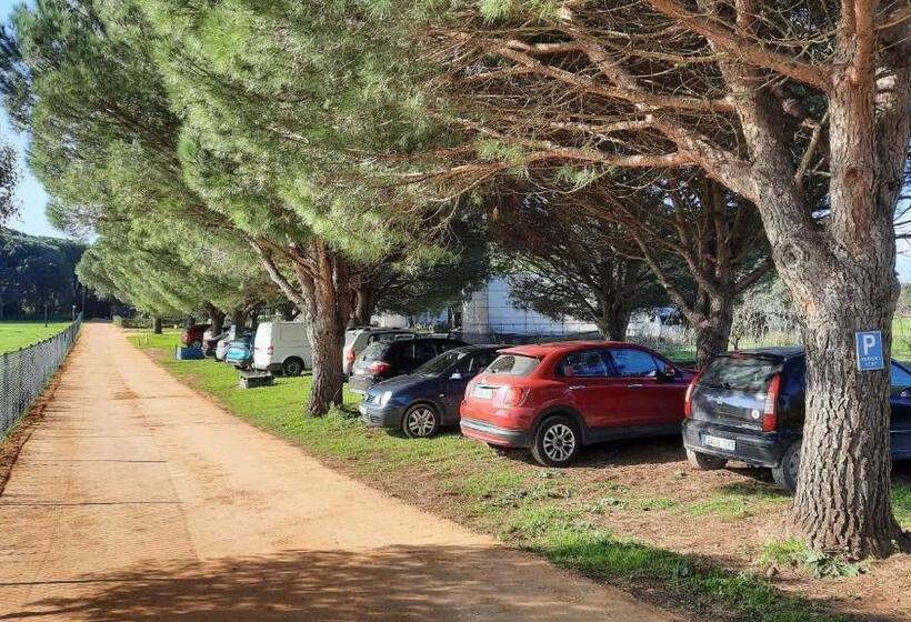 هتل Habitación Familiar Oasis Anayansi