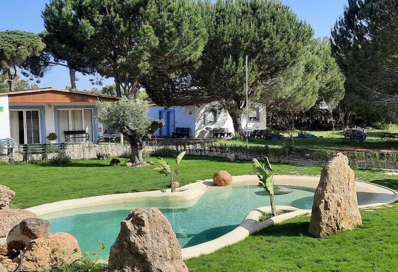 هتل Habitación Familiar Oasis Anayansi