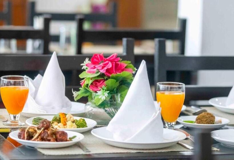 בית מלון כפרי Bob S N Barley