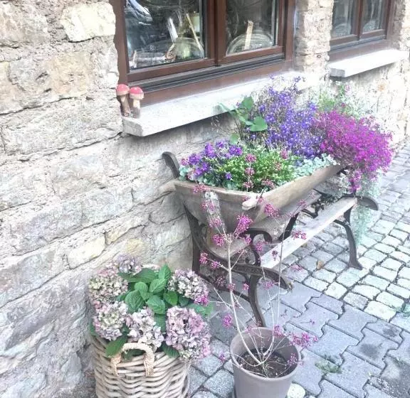 Majatalo Bio Kastanienhof Erfurt   Appartements Und Ayurvedische Jurten