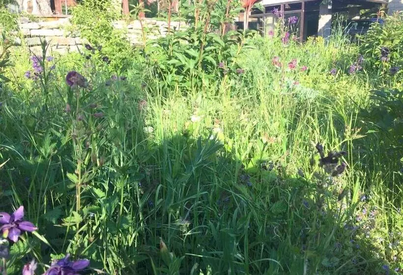 Majatalo Bio Kastanienhof Erfurt   Appartements Und Ayurvedische Jurten