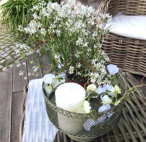 Пансион Bio Kastanienhof Erfurt   Appartements Und Ayurvedische Jurten