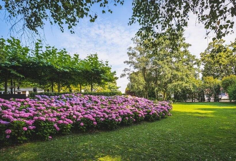 B Smart Hotel Widnau