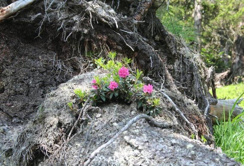 Bed and Breakfast Bnb Claudy Et Elizabeth Michellod Dutheil