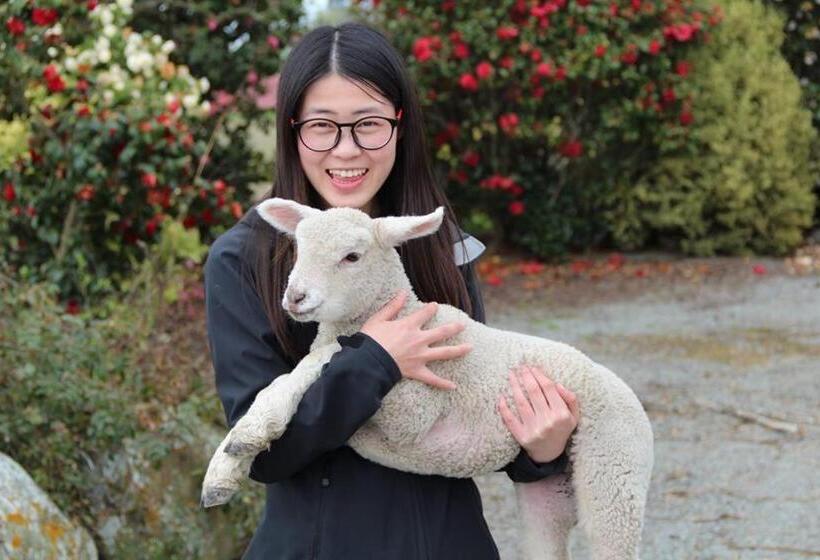 צימר Forest Manor