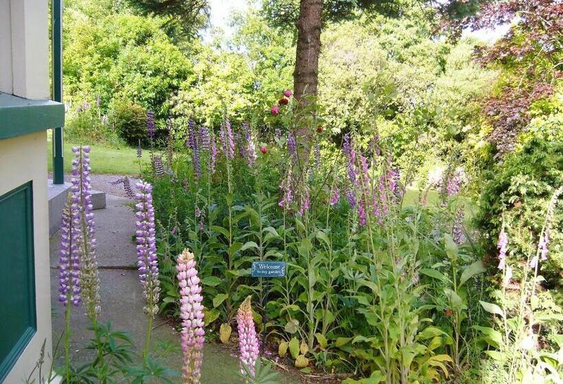 צימר Forest Manor