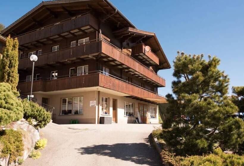 צימר Guesthouse Alive