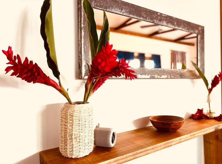 فندق Casa Le Parc   Main Street