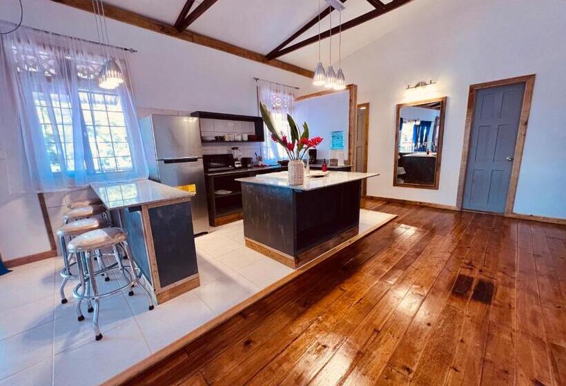 فندق Casa Le Parc   Main Street