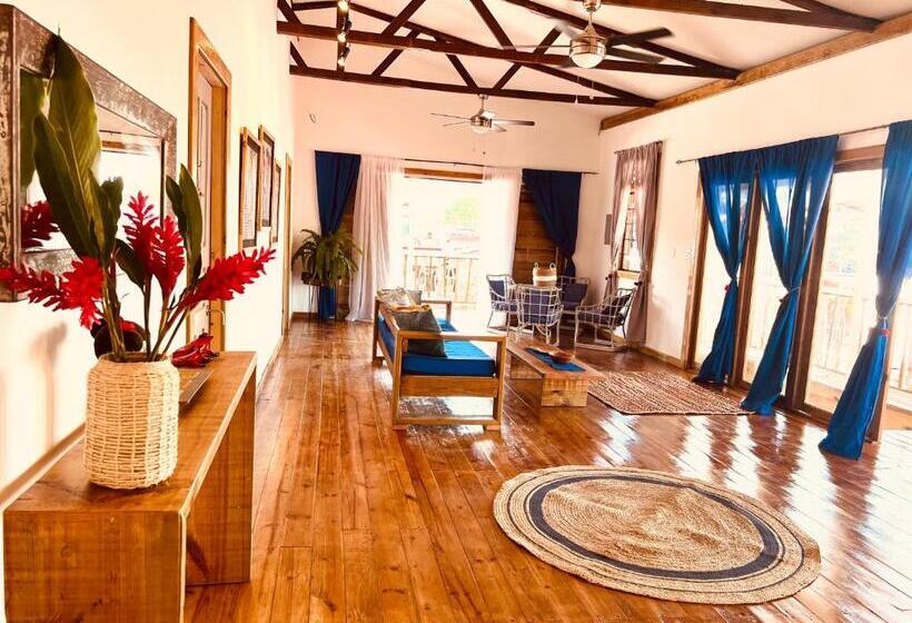 فندق Casa Le Parc   Main Street