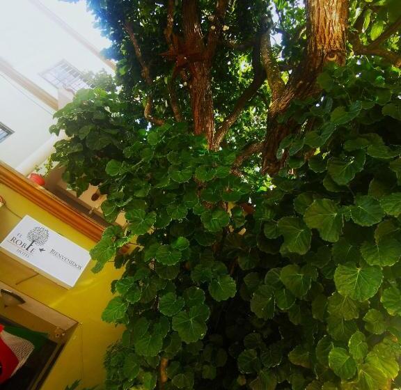 هتل El Roble