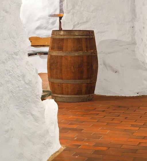 בית מלון כפרי L Mikaelsgården