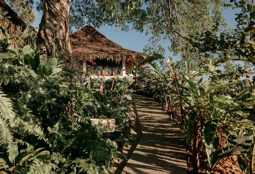 Hotelli Maraica San Pancho Rooms