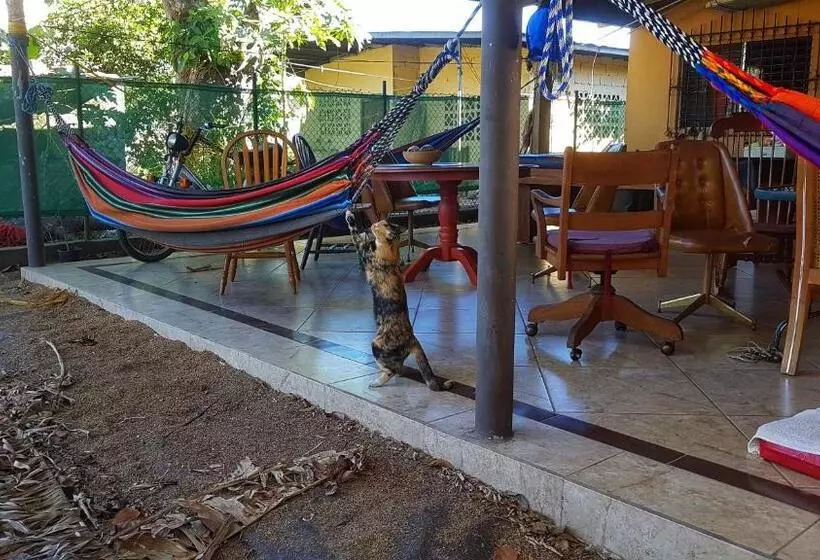 Pacasa Hostel