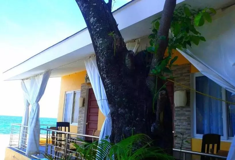 リゾートホテル Luzmin Bh Beachfront Cottages
