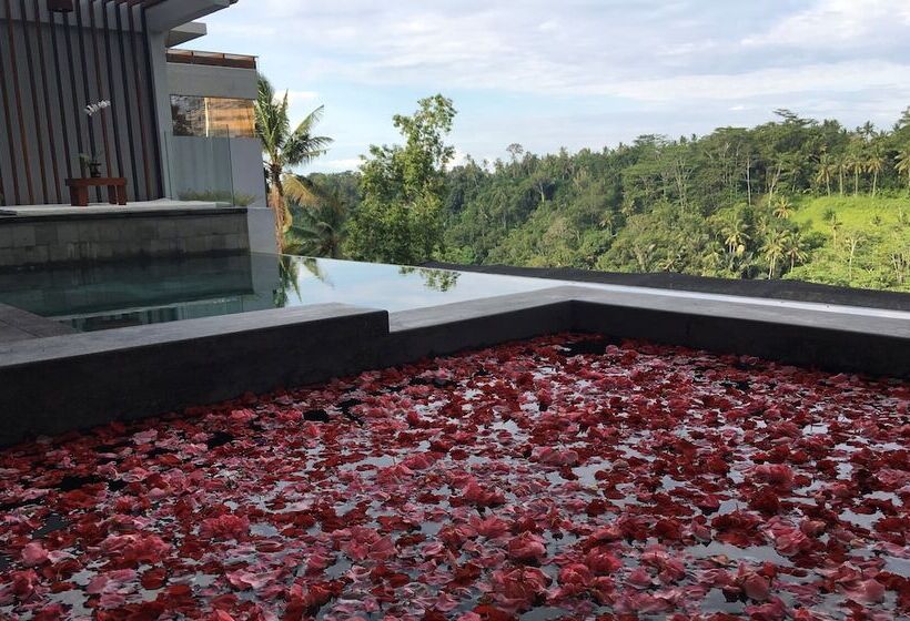 酒店 Ayuterra Resort