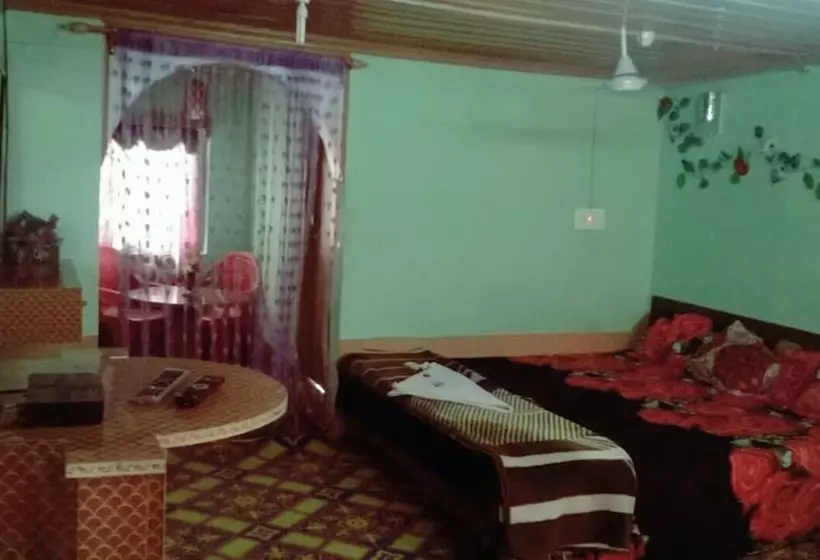 ホテル New Green View, Srinagar