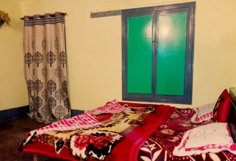 ホテル New Green View, Srinagar