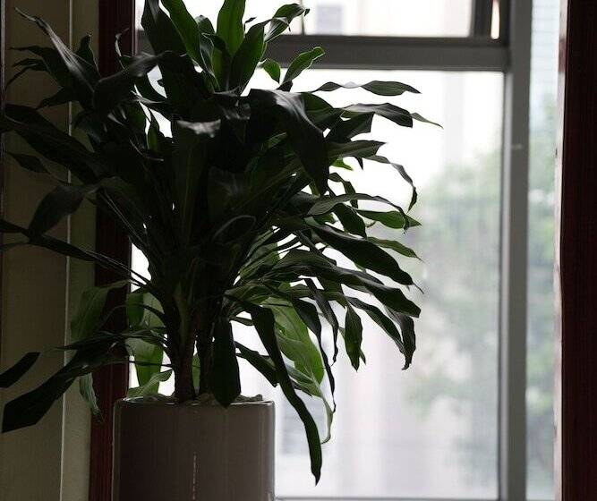 هتل Sunrise Ninh Binh