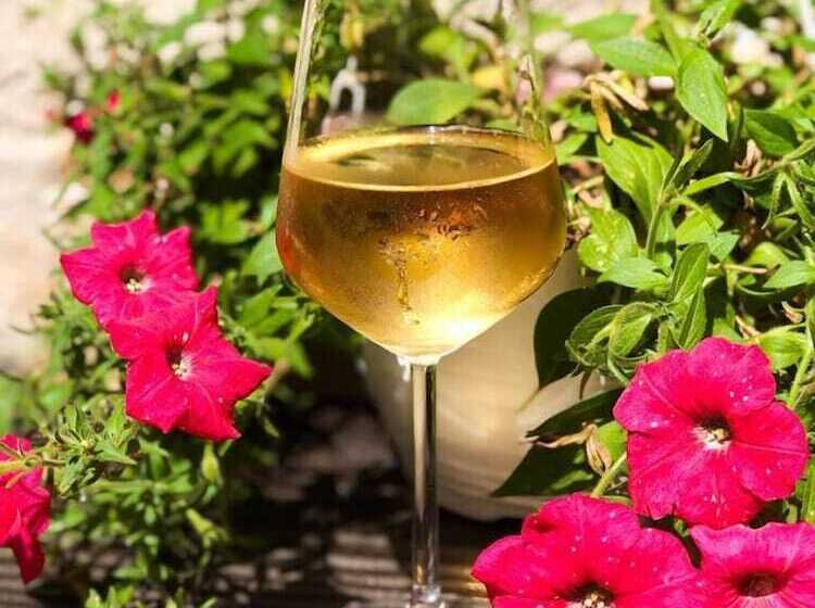 هتل Athos Guesthouse