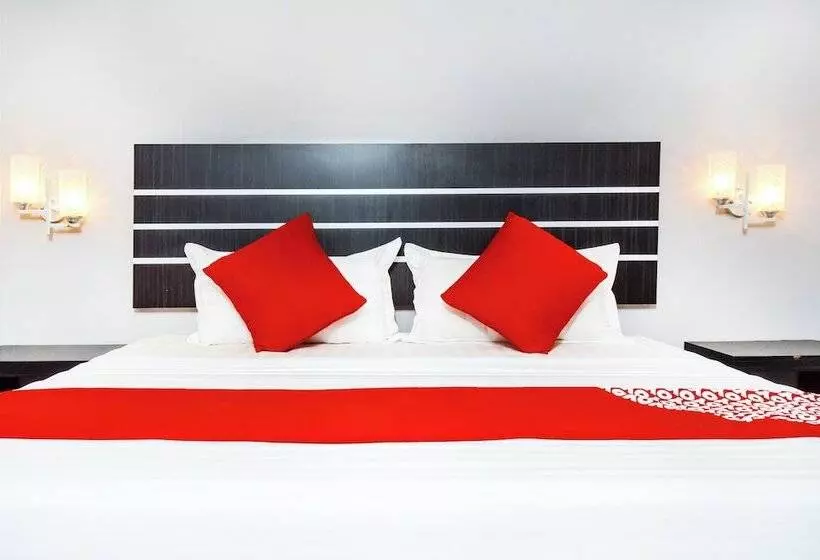 Hotel Collection O 88