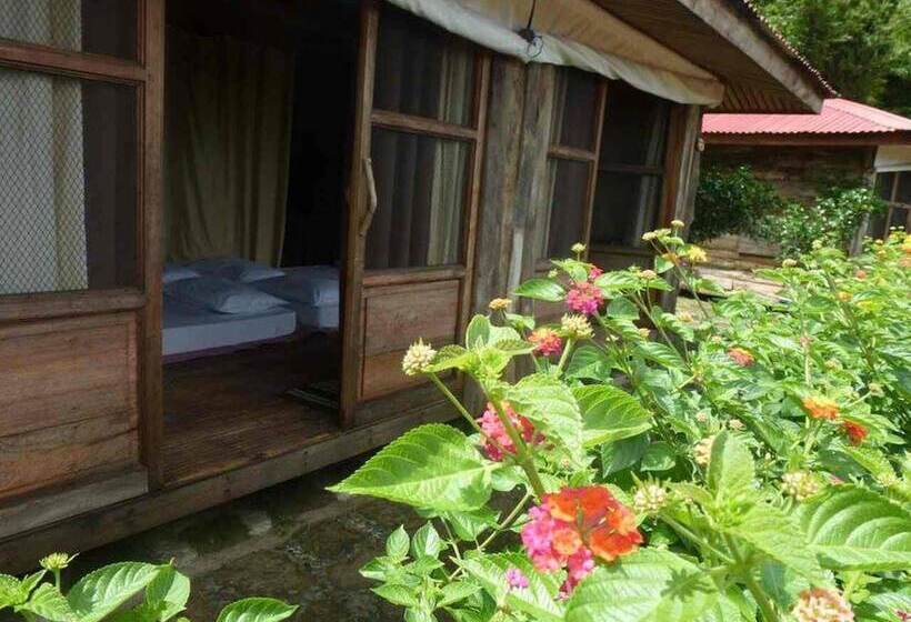 فندق Ten Cents To Heaven Leisure Camp