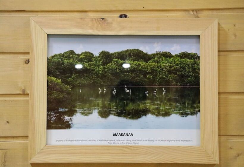 پانسیون Clove Beach