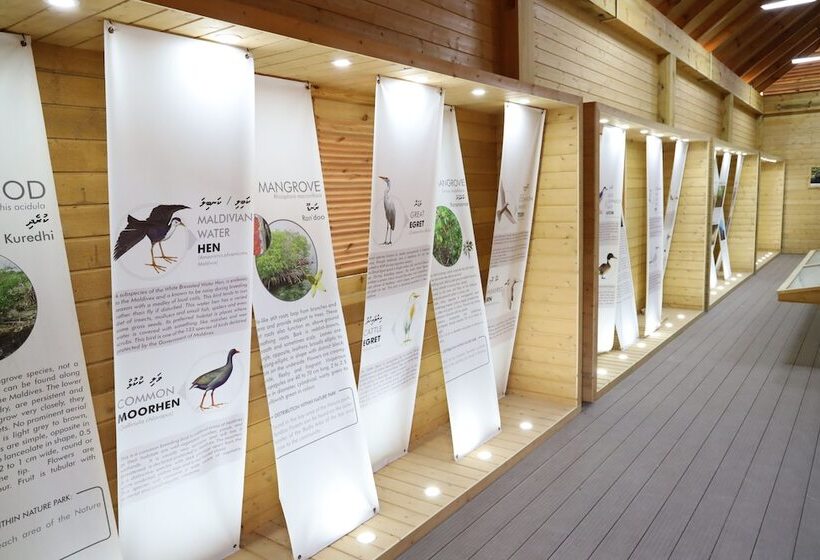 پانسیون Clove Beach