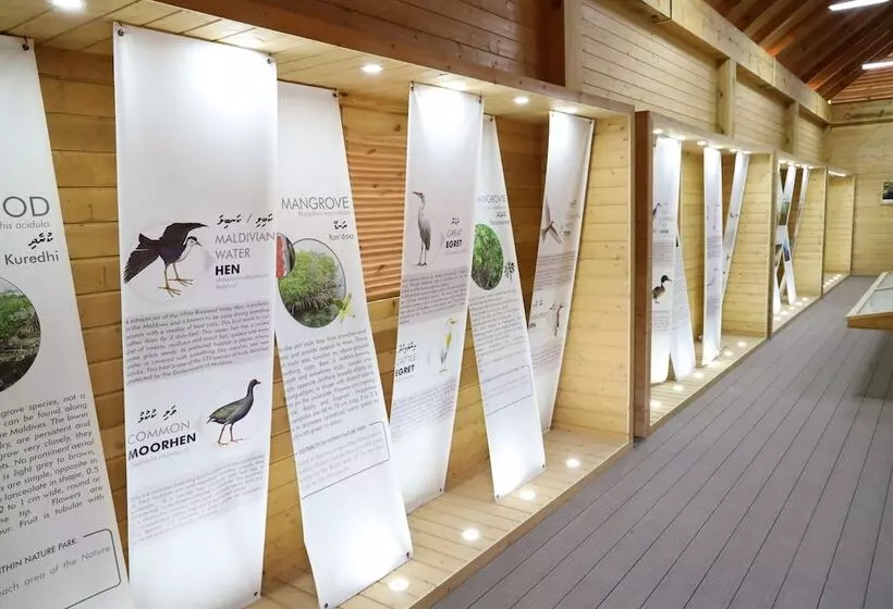 پانسیون Clove Beach