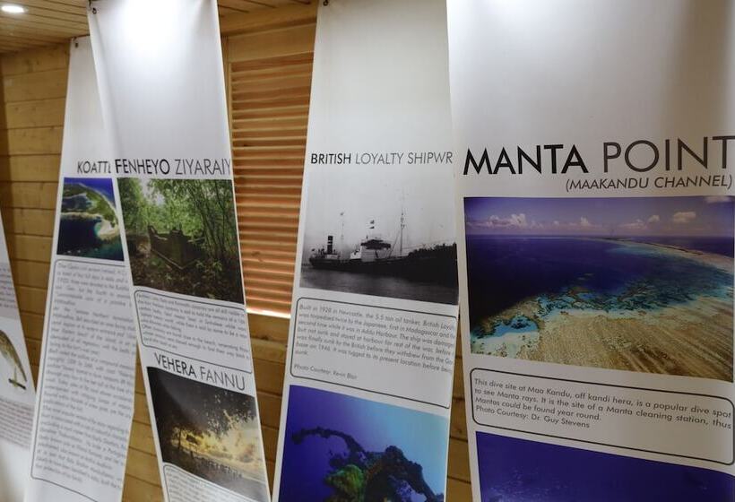 پانسیون Clove Beach