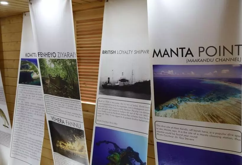 پانسیون Clove Beach