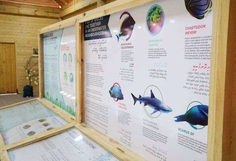 پانسیون Clove Beach