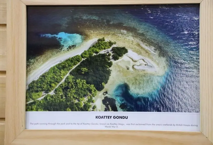 پانسیون Clove Beach