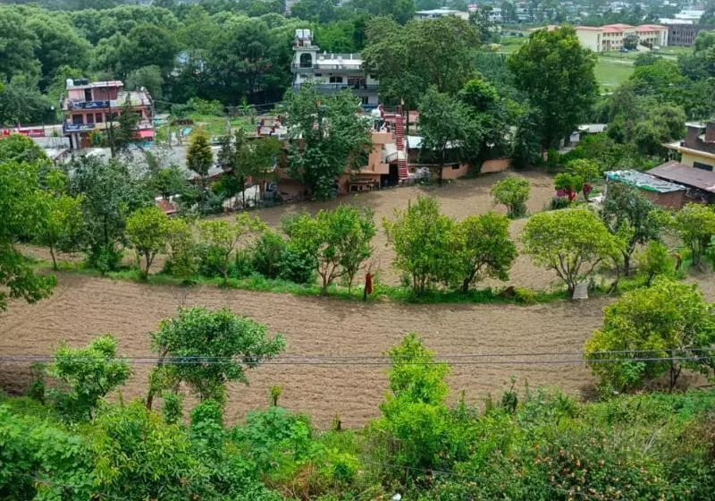 ホテル Herb Club Homestay